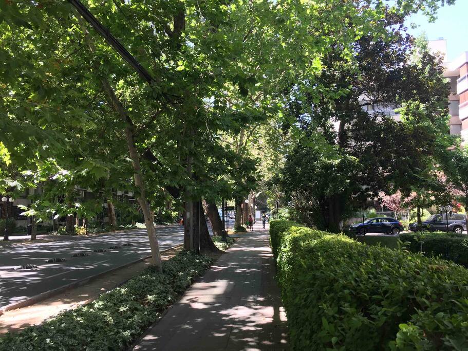 Avenida Ricardo Lyon - Providencia