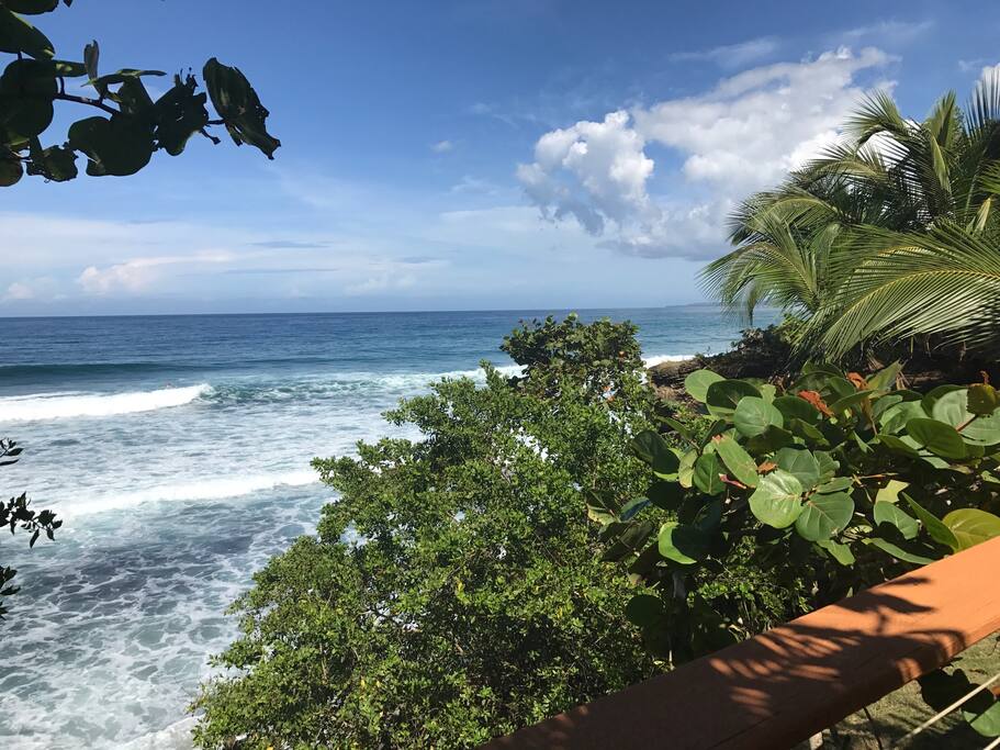 View from back deck.