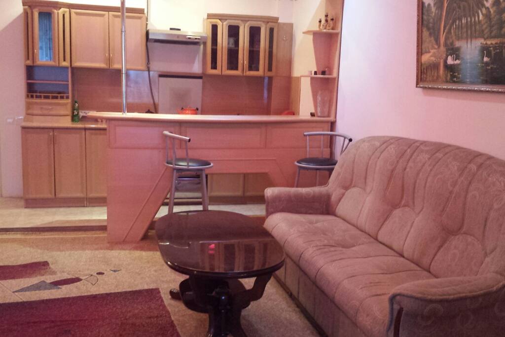 Living room integrated with the Kitchen and Bar.