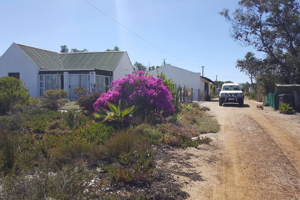 House on working farm 5km from ocean