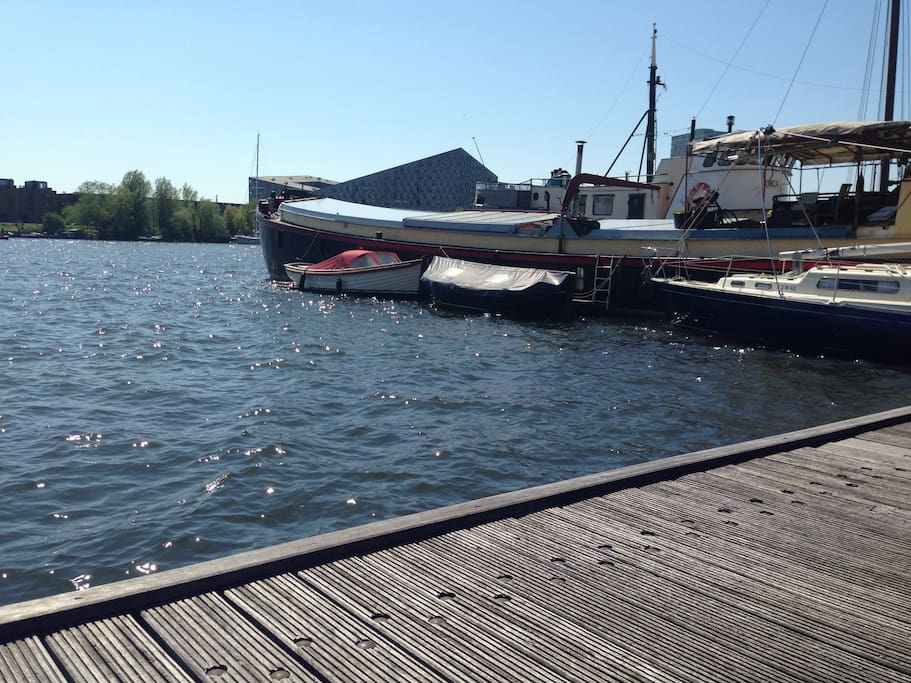 Ij river dock next to the building: GOOD FOR SWIMMING!
