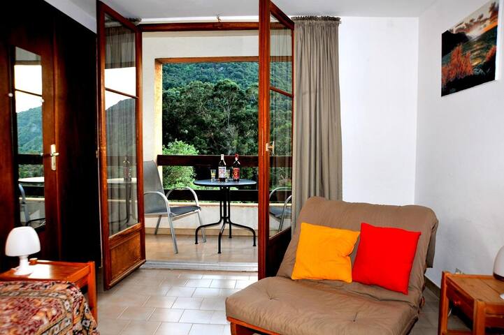 Airbnb Porto Vacation Rentals Places To Stay Corse France