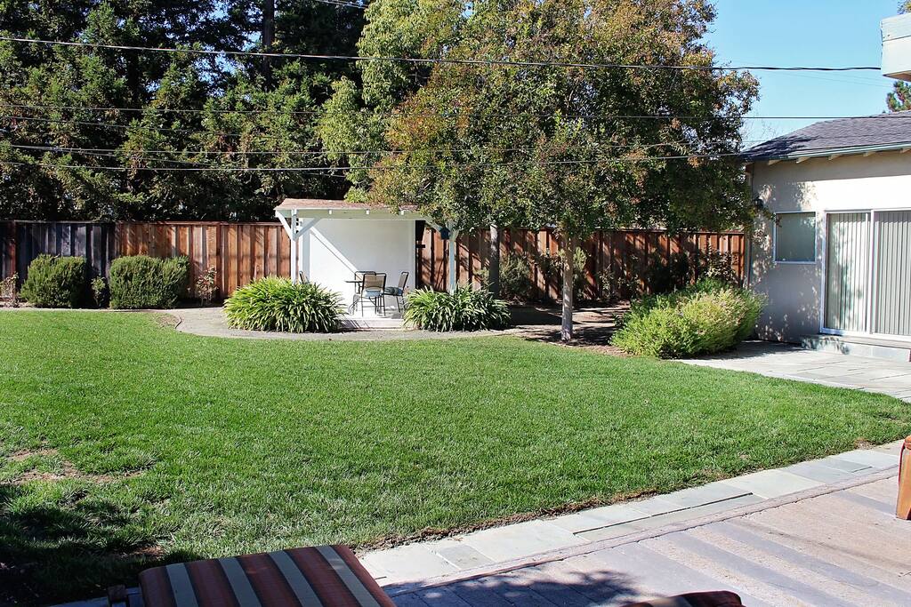 Hang out in our back yard.