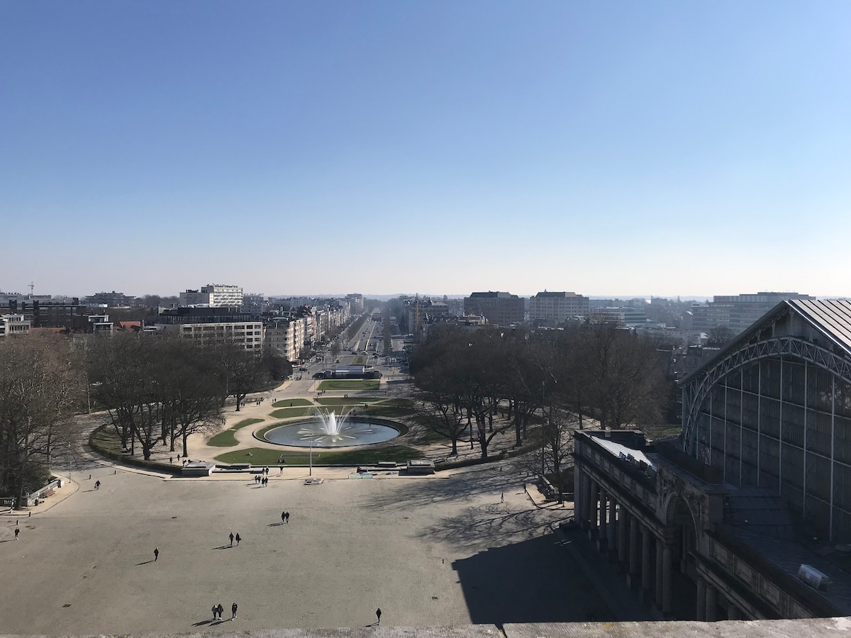 The expansive view showcases the park with a central fountain and surrounding greenery. A wide avenue leads into the distance, lined with trees and buildings. The sky is clear and bright, enhancing the overall openness of the scene.