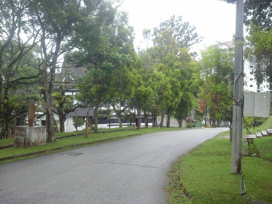 Outdoor