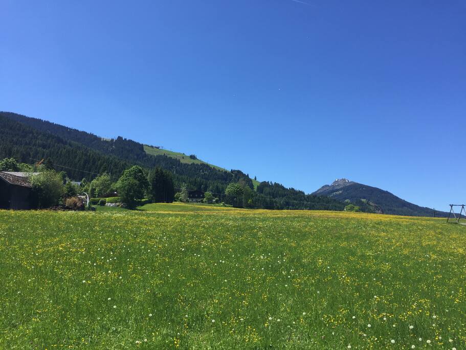 Skipiste im Sommer - direkt vor der Haustür