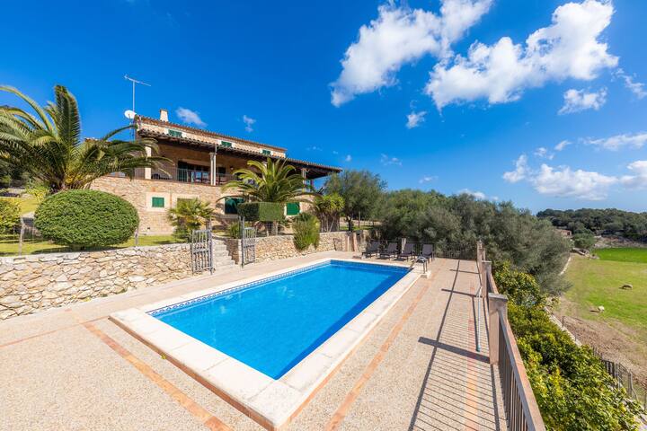 Taconera gallery image 2