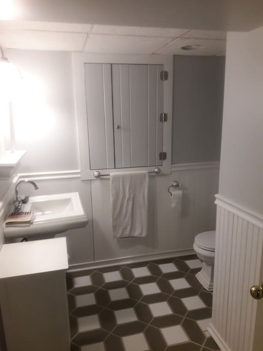 Basement Bathroom. Spacious shower.