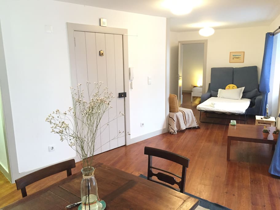Living room (with sofa bed)