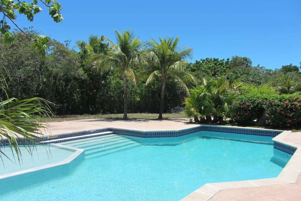 Nice pool to cool or lounge around