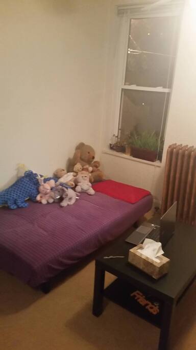 Sofa Bed