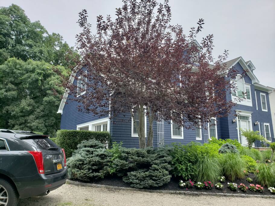 Side of home