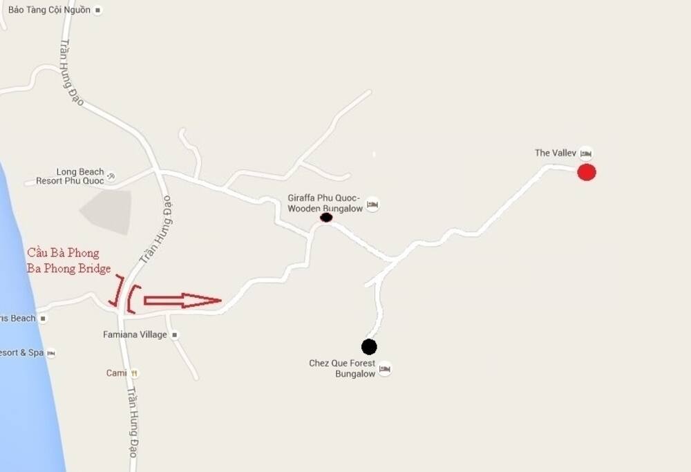 The MAP