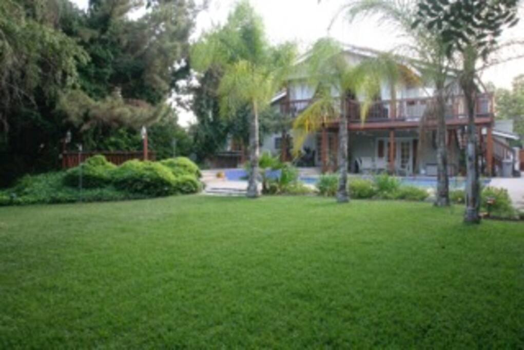 Backyard