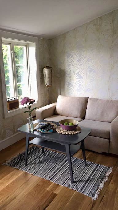 The livingroom, with a sofabed