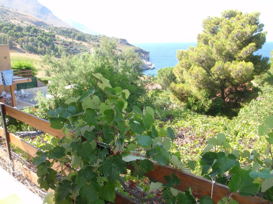 Terrace front view to sea