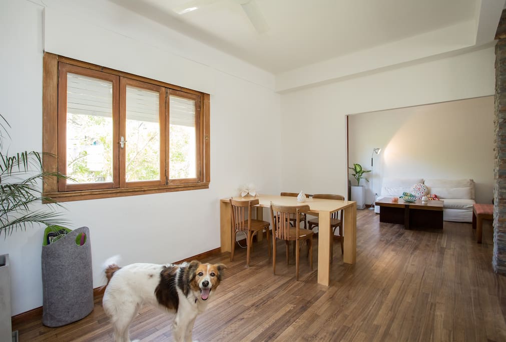 Comedor y living luminosos