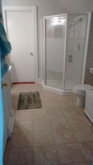 Large Ensuite Bathroom with shower and exit to common area.