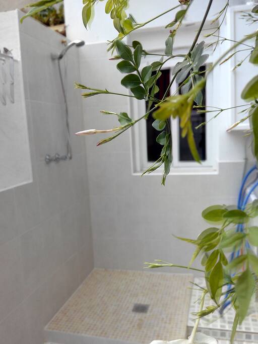 patio con ducha exterior