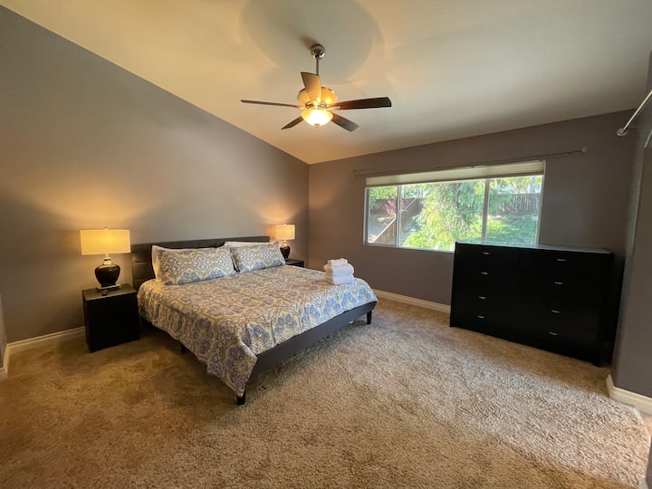 Master bathroom with king bed - lots of closet space 