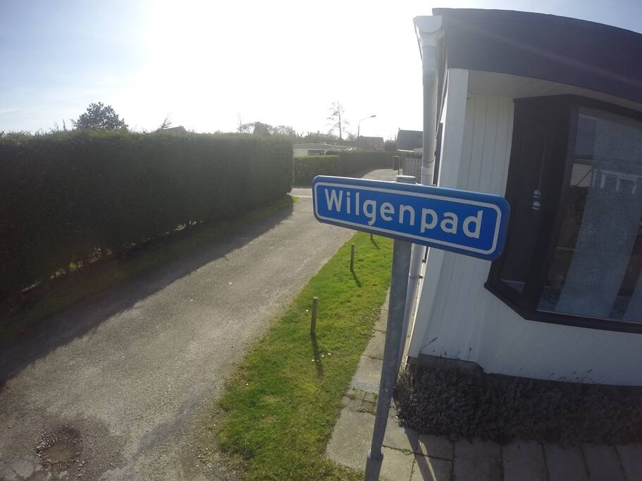 Wilgenpad