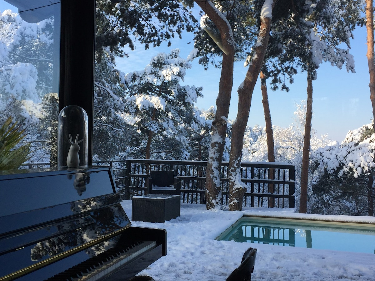 A grand piano is positioned indoors, with snow-covered pines visible through expansive glass walls. A tranquil swimming pool sits outside, surrounded by a winter landscape of fresh snow. The scene offers a serene contrast between the warmth of the interior and the coolness of the wintry outdoors.