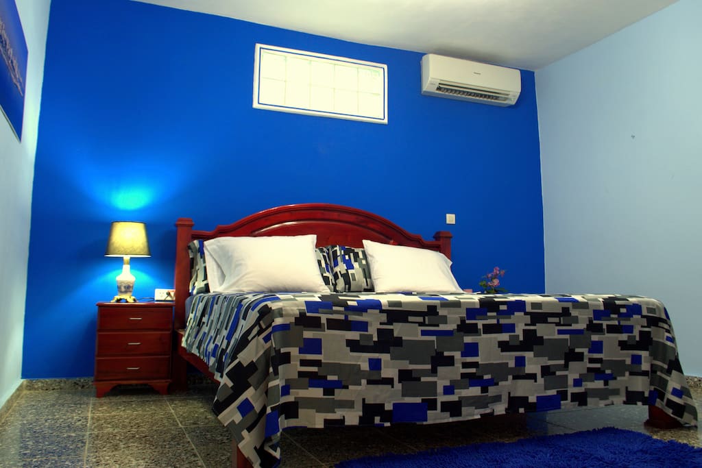 Habitation Blue