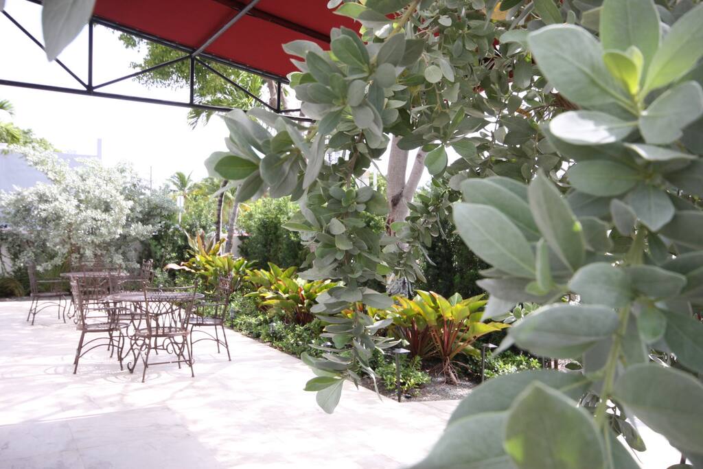 Hotel patio