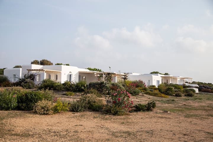 SAND Collection | 6 BDR Connecting Villa with pool