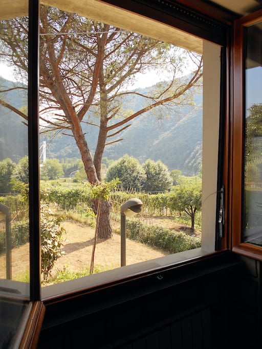 Vista dell'esterno dalla cucina