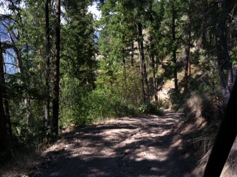 Our road to the Lake