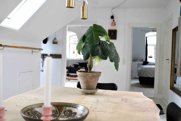 Lux penthouse 140 m2, in the heart of Copenhagen gallery image 4