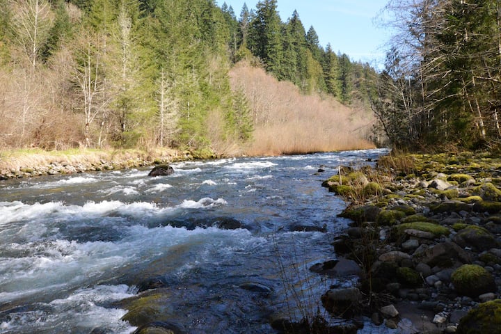 Zig Zag River a 3 minute walk from the cabin.