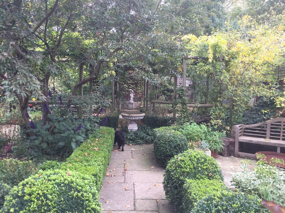 My garden with Melba, the spaniel