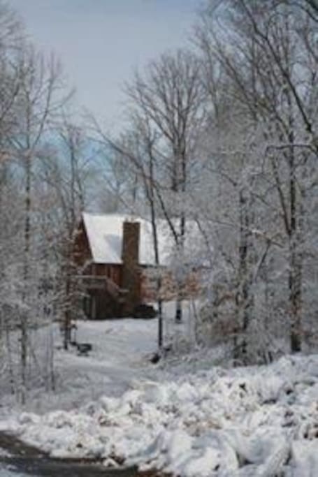 snowy cabin in the woods!