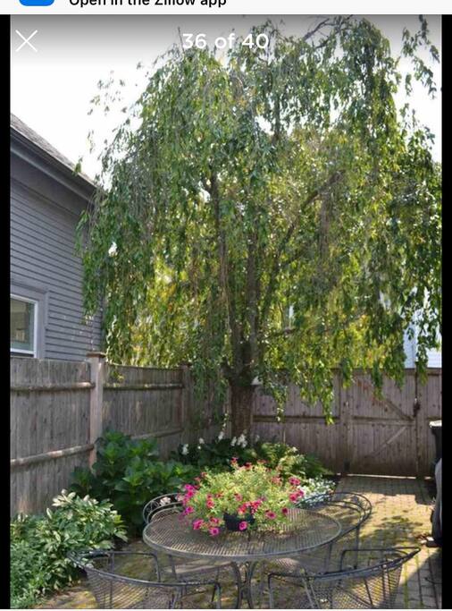 Side yard to relax in