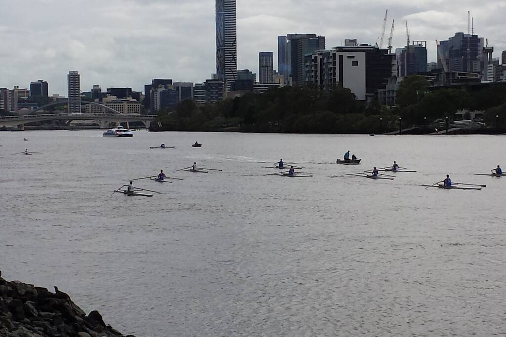 Brisbane River rowers