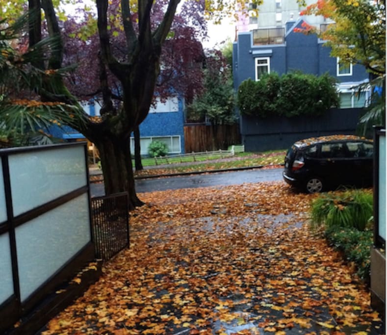 The entrance into my building in fall.