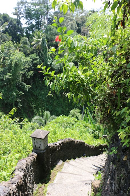 Stairway down to your river house with private pool