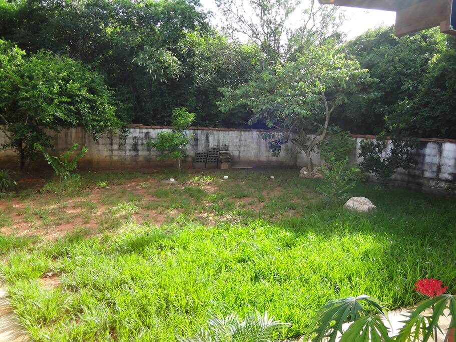 Quintal de trás da casa.
