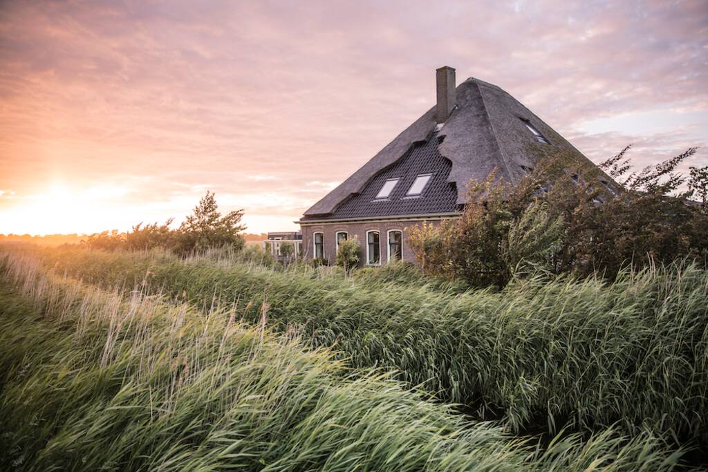 BB de Geheime Tuin: Vlinder - Burgerbrug의 B&B에서 살아보기, Noord-Holland, 네덜란드