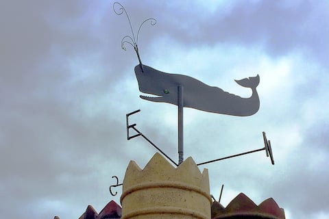 Top performing Airbnb: Steven’s house, Chorlton-cum-Hardy in Manchester