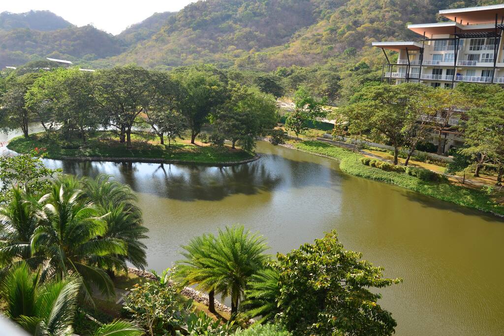 Balcony View