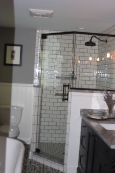 Master Bath and shower