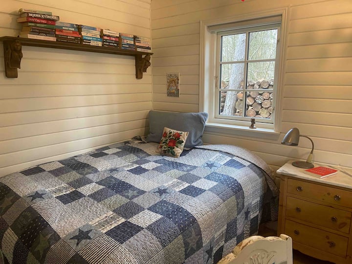 إن Icebird مريح مع الكتب والأثاث القديم. 