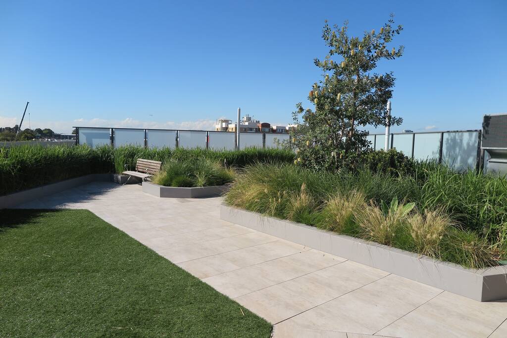 Roof garden