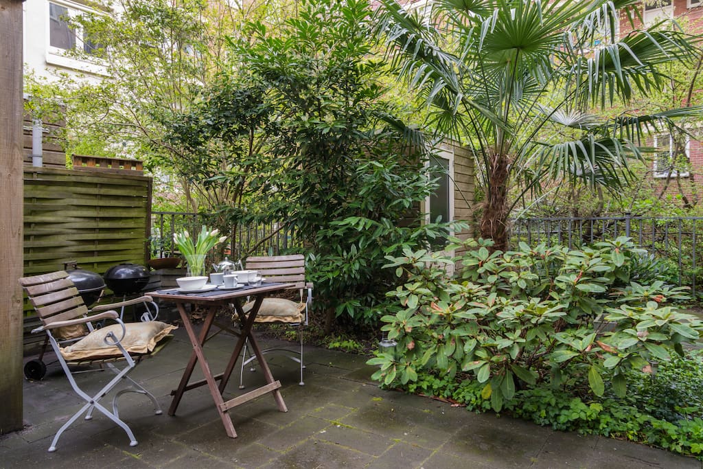 A garden with palm trees to enjoy the evening sun.