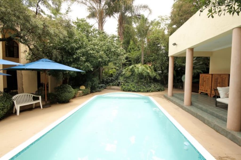 Guest Pool