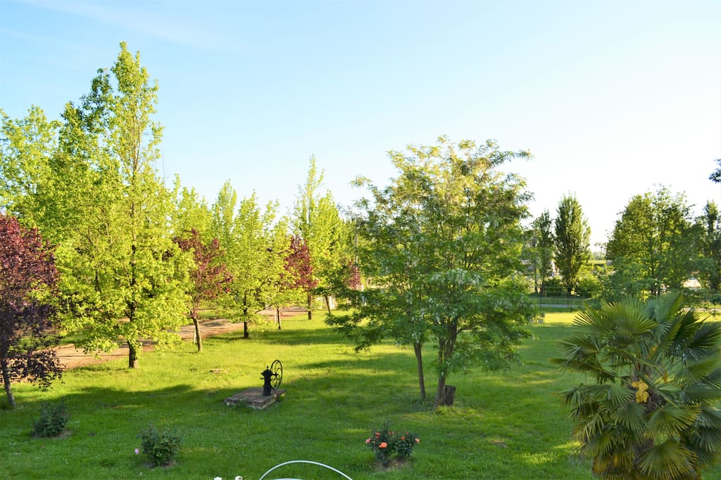 Vue sur le parc de la maison