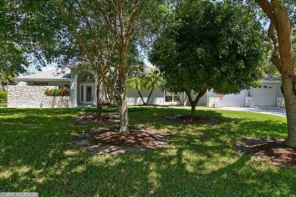 Shaded front yard